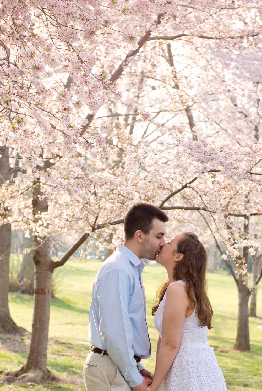 CherryBlossomDCengagement-03