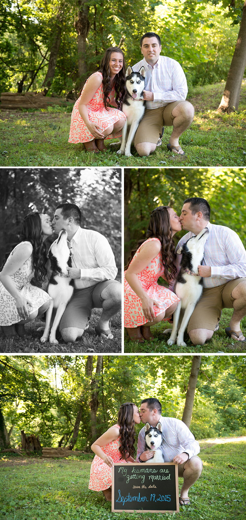 Harford_County_Engagement-01