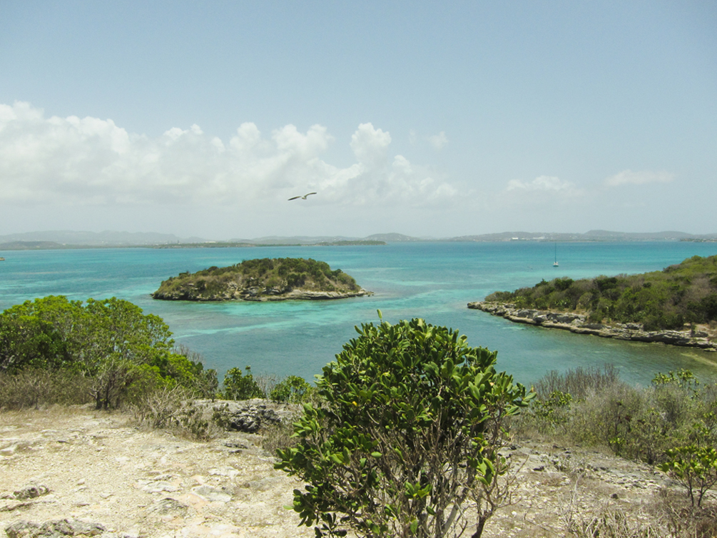 018-105_Antigua_Honeymoon-6972