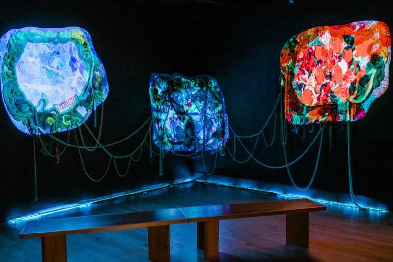 Foster Reynolds-Santiago, "Seaweed Portals," (2022). Photo by and courtesy Marlayna Demond for UMBC.