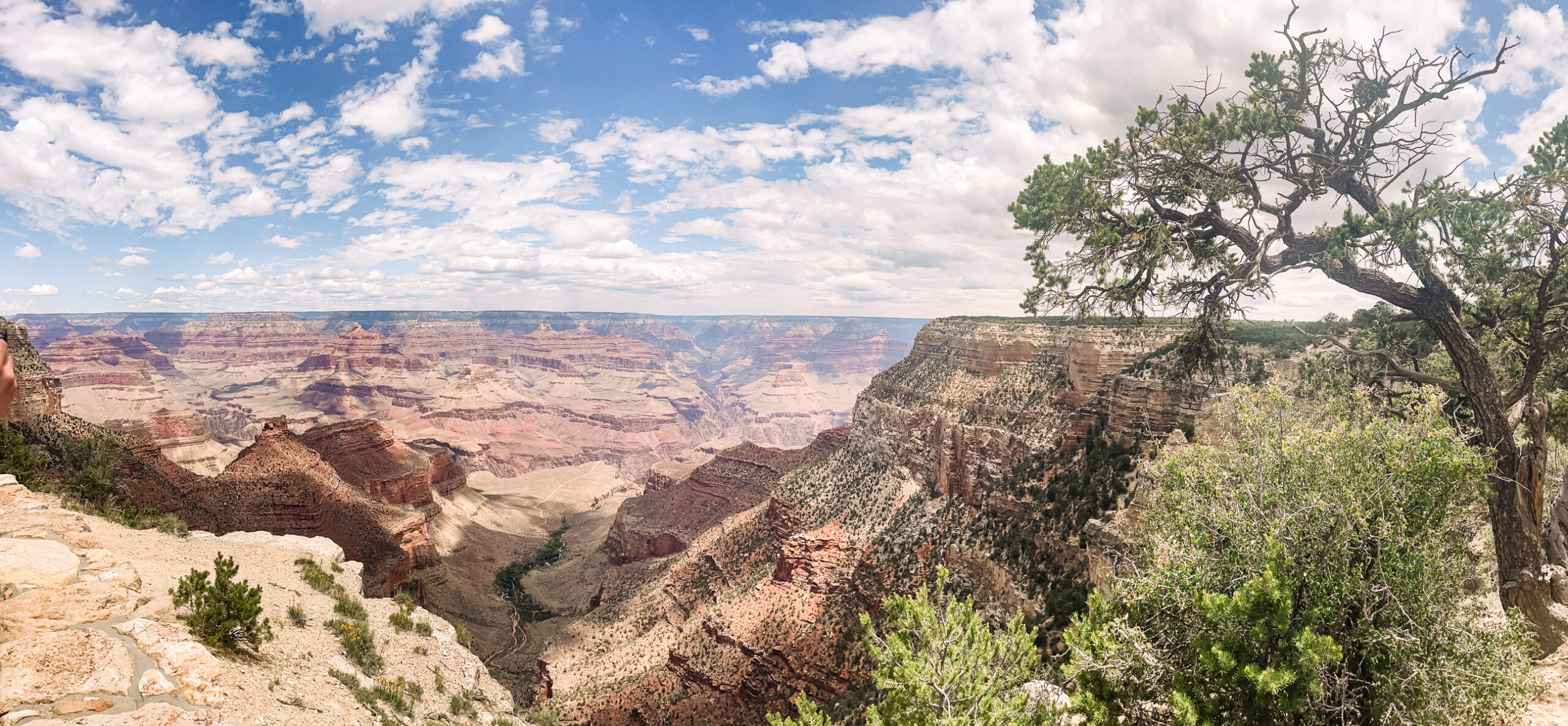 Panoramic view of grand canyon during the day