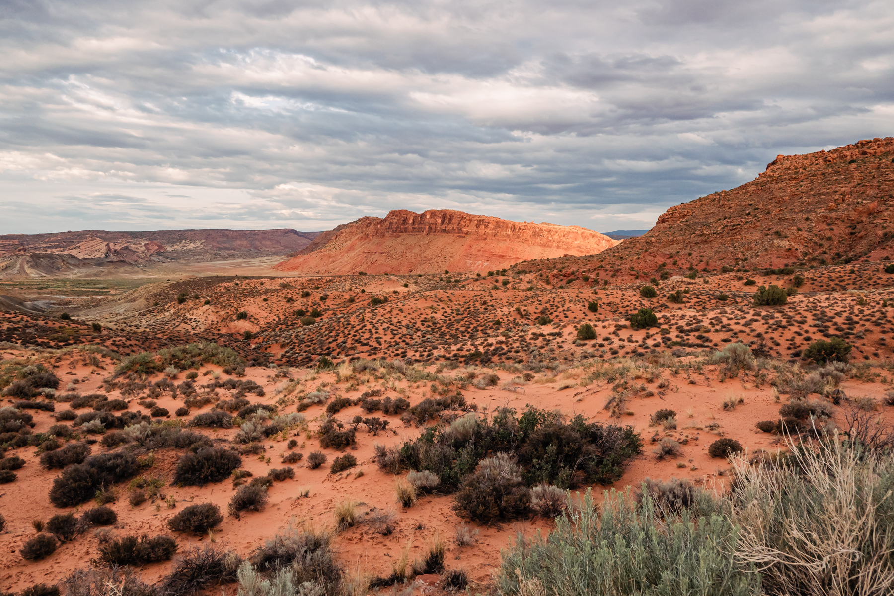 view of desert in Arches National Park