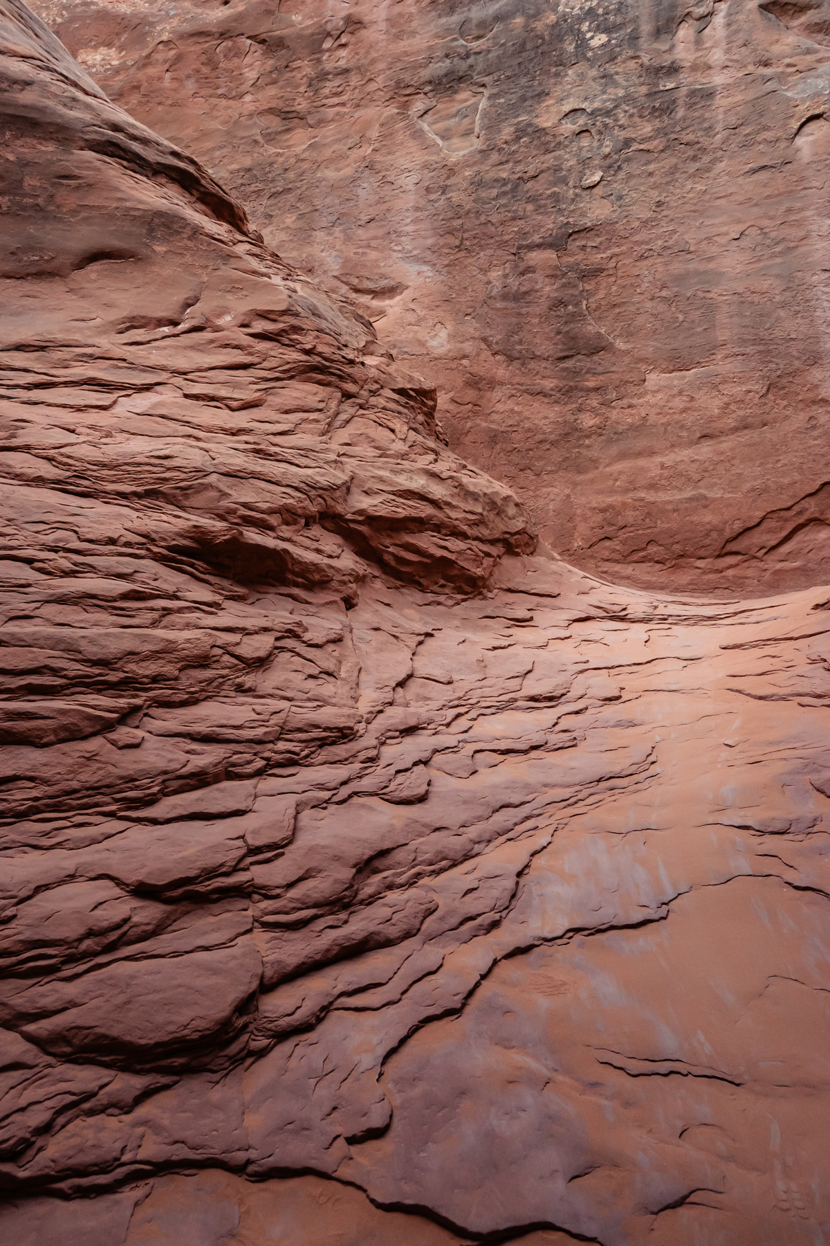 rock textures at arches national park
