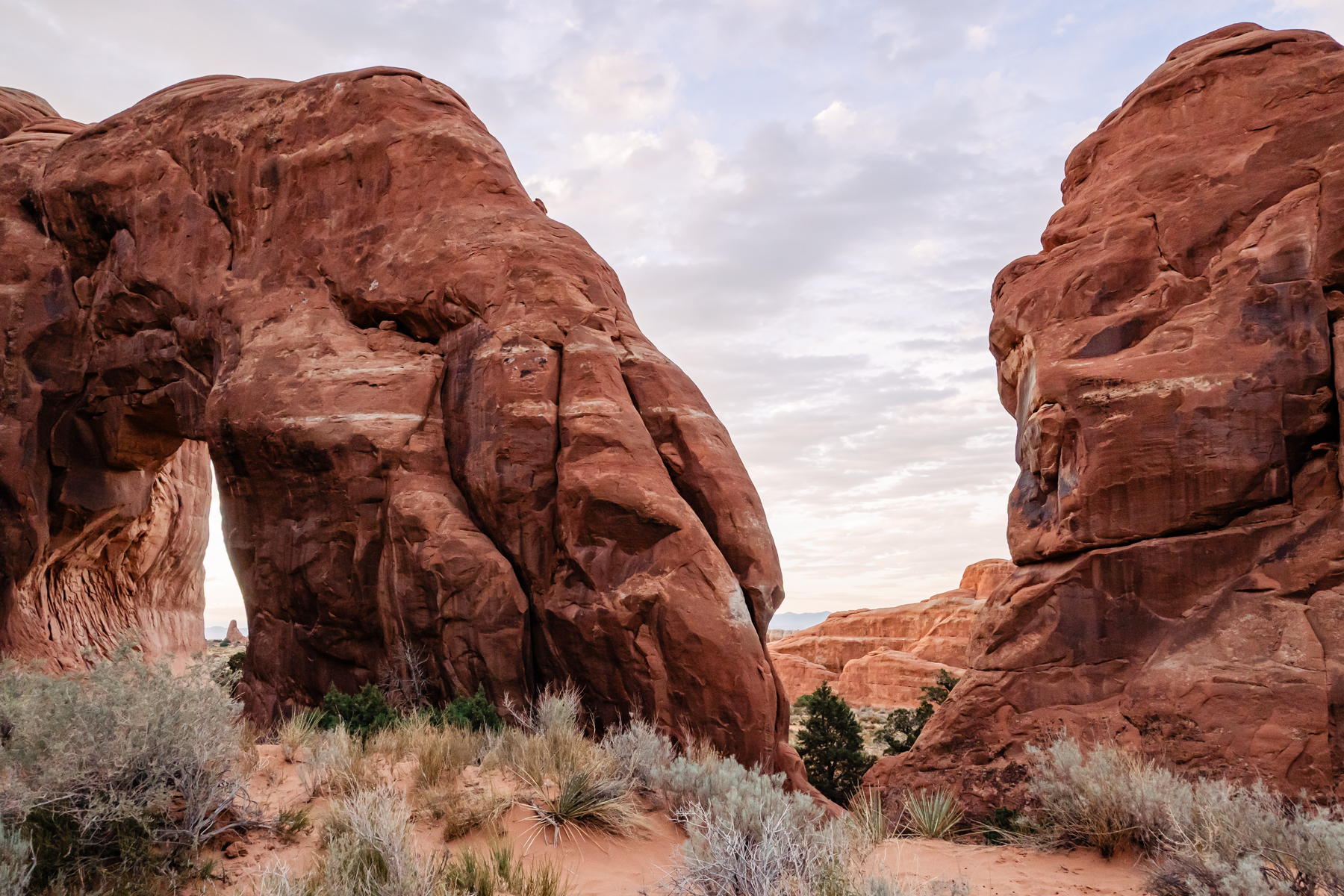 arch rock at Arches National Park