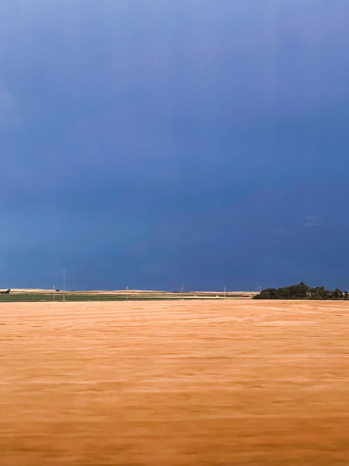a golden field against a dusk blue sky in creating a color block effect