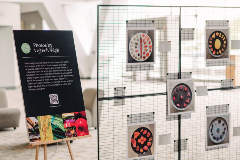 photography display at conference