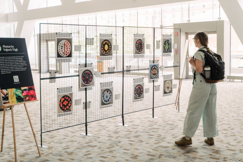 guest views a photography display at conference