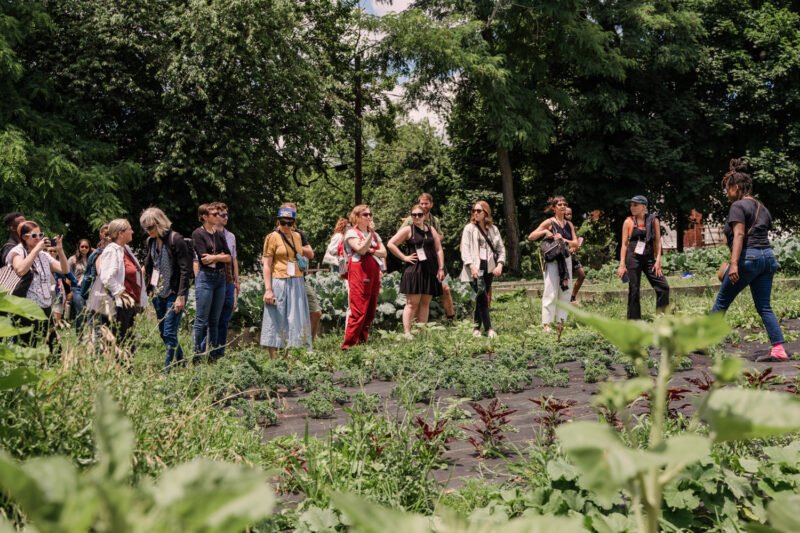 guests explore an urban farm in baltimore