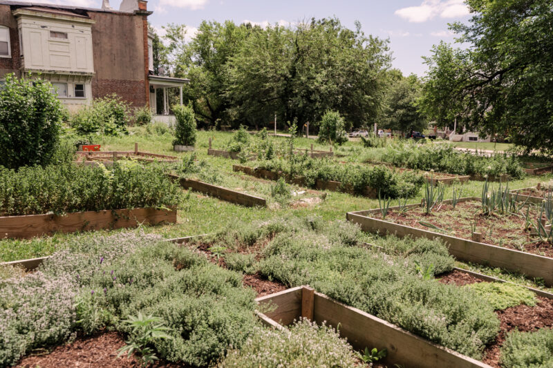 baltimore urban farm